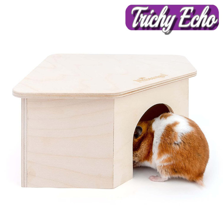 Trichy Echo Hamster/Gerbil Cage Accessory | Wayfair
